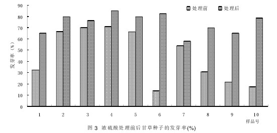 圖3 濃硫酸處理前后甘草種子的發芽率(%)