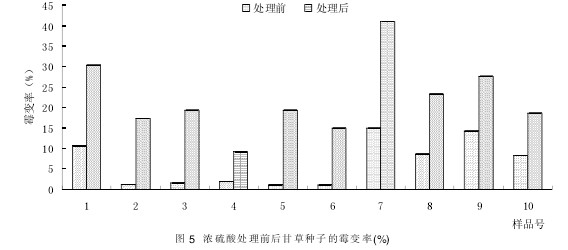 圖5 濃硫酸處理前后甘草種子的霉變率(%)