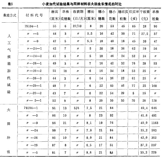 ��3С���Ӵ�ԇ�Y���cͬ�Ӳ����ڴ������L��r�Č���