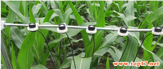 ��ͨ�������Чݗ��ӛ䛃x TPF-8N