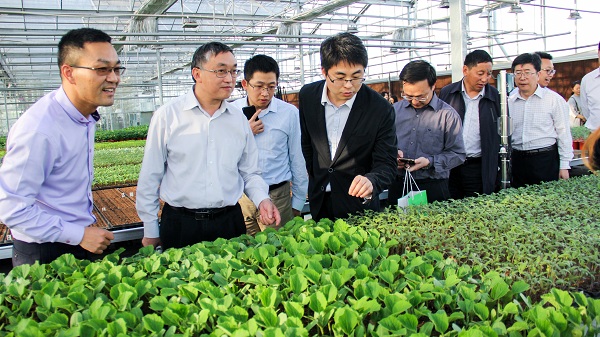 ������ͨ�^�֙C(j��)�˲鿴�����x��y��(b��o)���x��O(ji��n)�y�D���A(y��)����(sh��)��(j��)