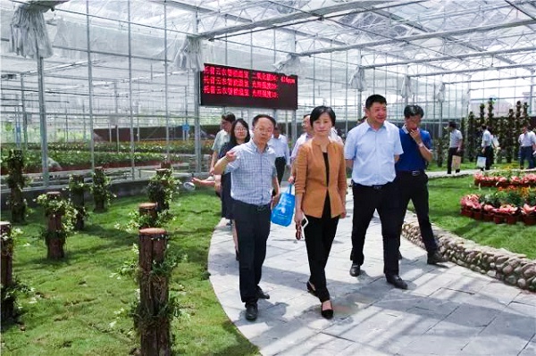 �������r(n��ng)������(j��ng)�������A�o����(hu��)�I(l��ng)��(d��o)��B�ǻ��r(n��ng)�I(y��)