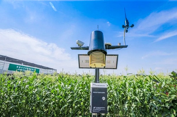 ����O(ji��n)�y(c��)�C��վ