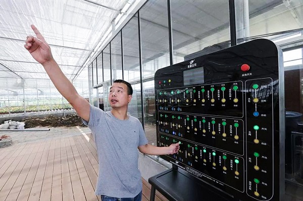 һ�I�������������ȶ����Ԍ�(sh��)�r(sh��)�^���Ͳٿء�