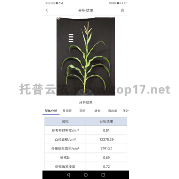 玉米株型分析系統(tǒng)軟件界面