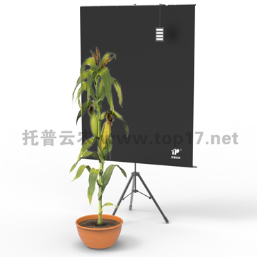 �������ͷ���ϵ�y TPMT-X-1