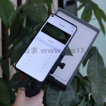 ���w�~��e�x YMJ-D