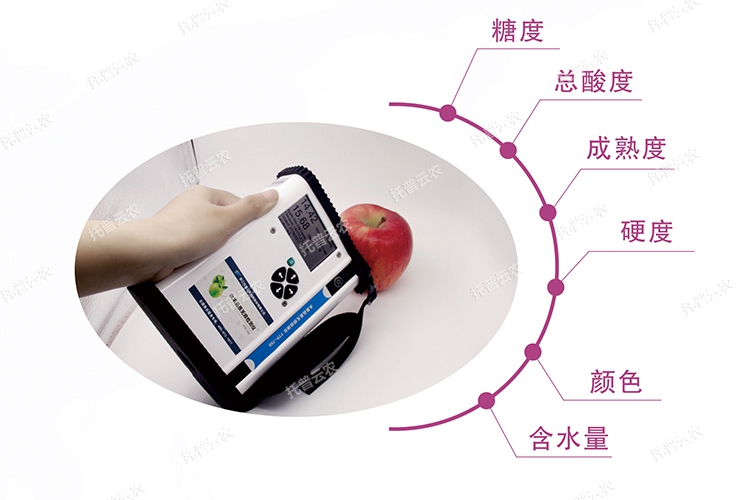 水果品質無損檢測儀