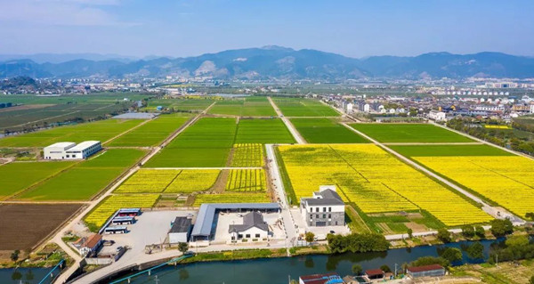 寧波海曙古林?jǐn)?shù)字大田——農(nóng)機(jī)可視化,種植信息化,灌溉智能化