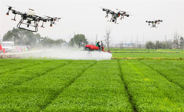 ����������֔��ִ���