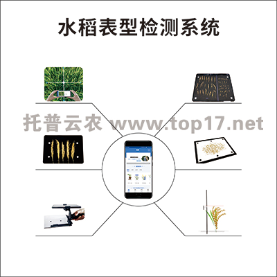 水稻表型檢測系統(tǒng) TPS-BX-1