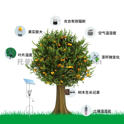植物生理生態(tài)監(jiān)測(cè)系統(tǒng)TP-ZWSL系列