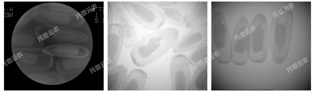 電腦農用X光機/電腦種子X光機
