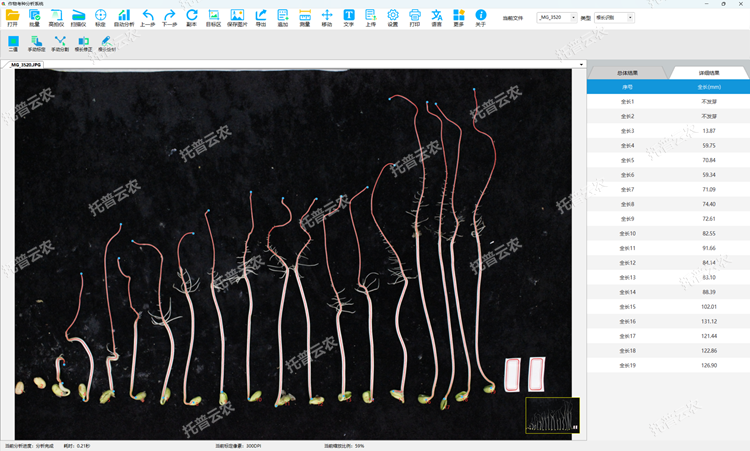 種子萌發和根系分析